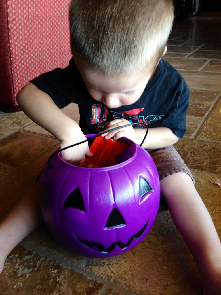 Halloween Hangover Cash Digging for Candy - Enjoy more adventures with Cash at http://heidipowell.net/5090