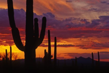 Sunsets and Cacti of Arizona - Learn why I love AZ at https://heidipowell.net/5189