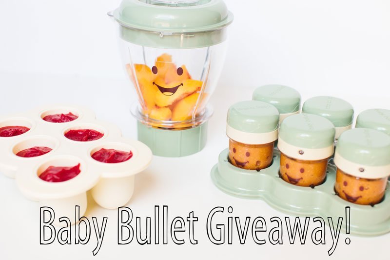 Baby Bullet Food Blender and Containers